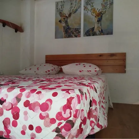 T2 Mezzanine Climatise Idealement Situe - 4 Couchages - 4casel8 Saint-Cyprien (Pyrenees-Orientales)