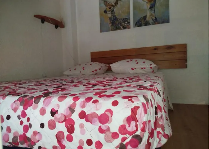 T2 Mezzanine Climatise Idealement Situe - 4 Couchages - 4casel8 Διαμέρισμα *